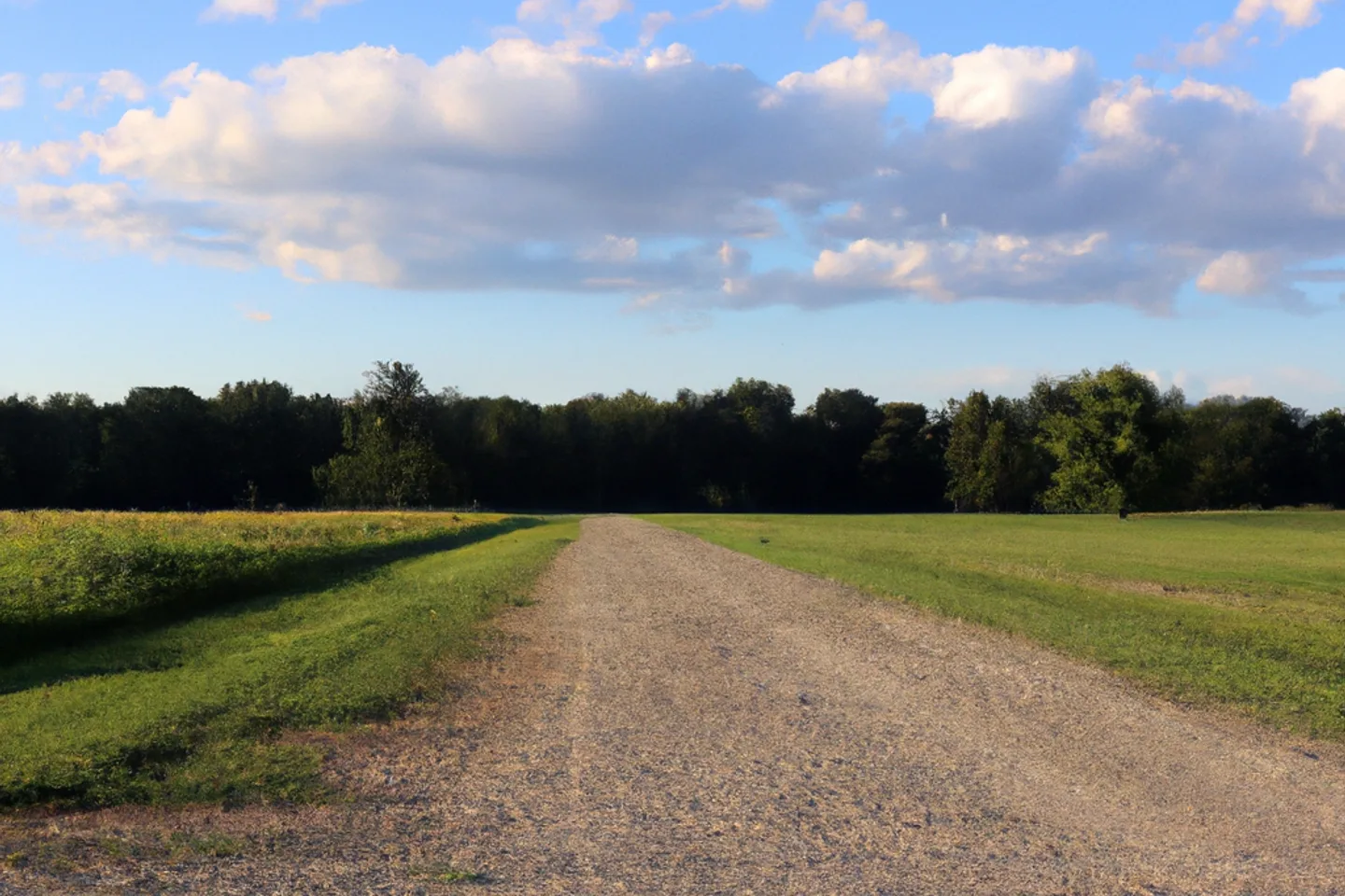 Indiana vacant land parcel with distant tree line at golden hour