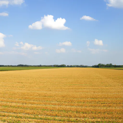 Rural acreage in Hamilton County, IN