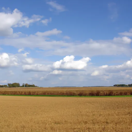 Rural acreage in Marion County, IN