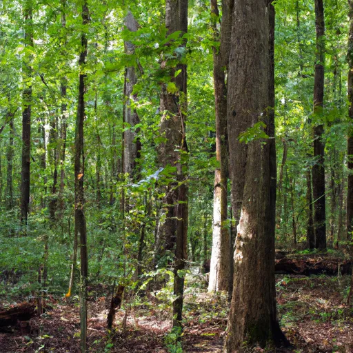 Wooded forest parcel in Hamilton County, IN